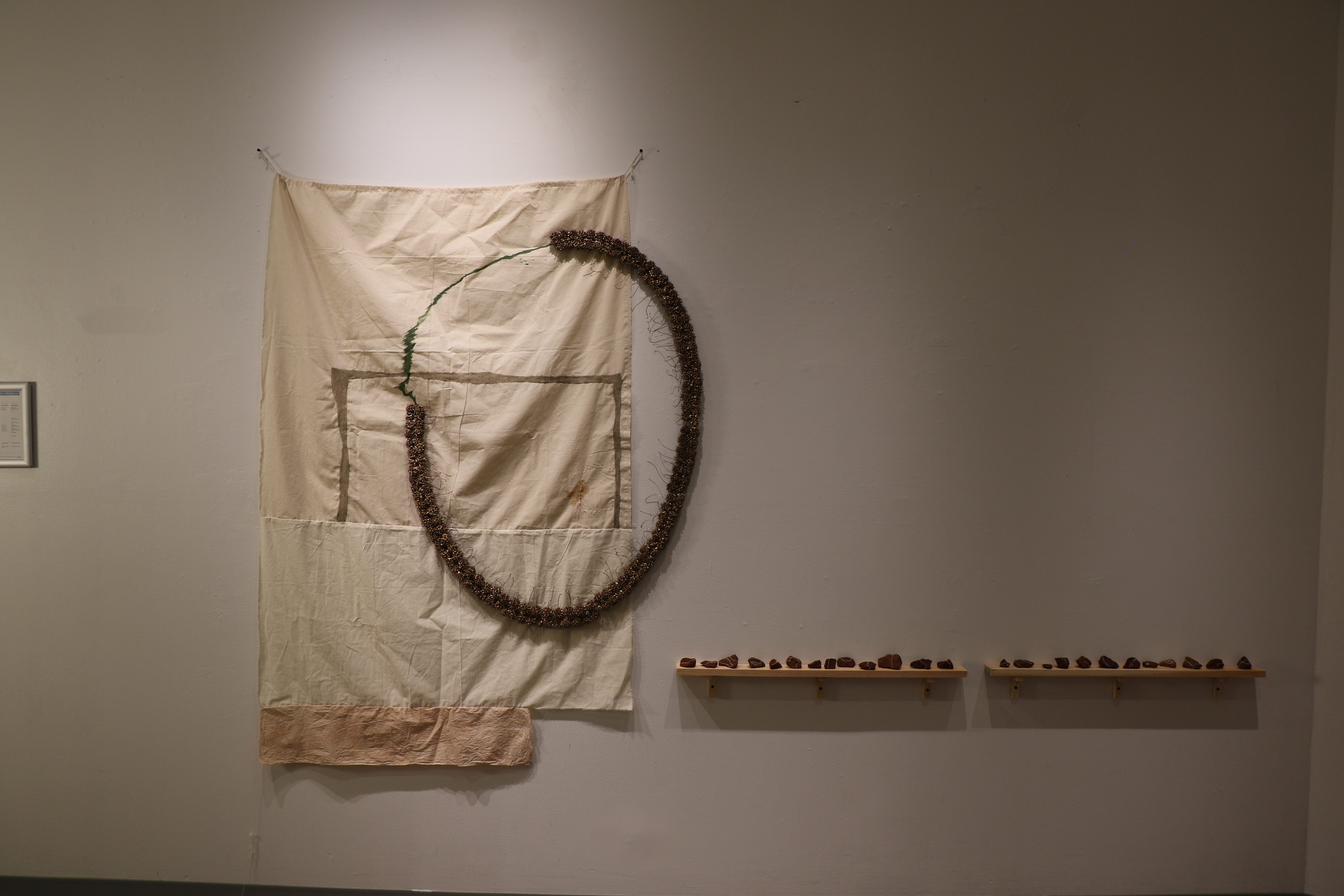 Collaboration with Aisling Wilson 3.